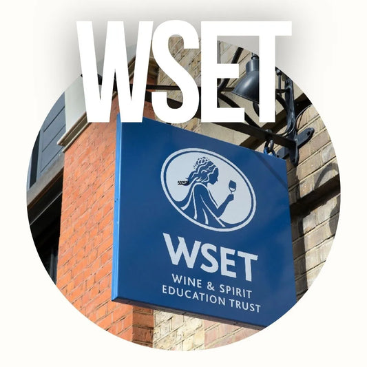 WSET level 1 (english version)